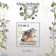 Mozambique 2010 Rabbit S/s, Mint NH, Nature - Rabbits / Hares - Mozambique