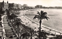 06-CANNES-N°T5278-C/0225 - Cannes