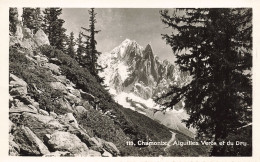 74-CHAMONIX AIGUILLES VERTE ET DU DRU-N°T5278-G/0023 - Chamonix-Mont-Blanc