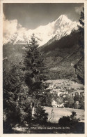 74-CHAMONIX L AIGUILLE DU DRU-N°T5278-F/0043 - Chamonix-Mont-Blanc