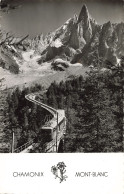 74-CHAMONIX MONT BLANC AIGUILLE DU DRU-N°T5279-D/0023 - Chamonix-Mont-Blanc