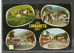 LES LINDARETS // Lot 4 // Chèvres - Sonstige & Ohne Zuordnung