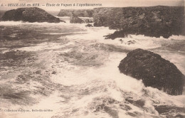 56-BELLE ILE EN MER L APOTHICAIRERIE-N°T5279-G/0065 - Belle Ile En Mer