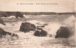 56-BELLE ILE EN MER LA MER SAUVAGE VERS LES POULAINS-N°T5279-G/0061 - Belle Ile En Mer