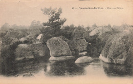 77-FONTAINEBLEAU BARBIZON MARE AUX BICHES-N°T5280-A/0369 - Fontainebleau