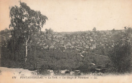 77-FONTAINEBLEAU LA FORET LES GORGES DE FRANCHARD-N°T5280-A/0301 - Fontainebleau