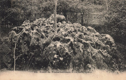 77-FONTAINEBLEAU LA FORET LA ROCHE EPONGE-N°T5280-C/0075 - Fontainebleau