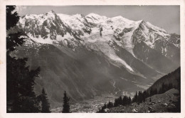 74-CHAMONIX MONT BLANC-N°T5280-B/0189 - Chamonix-Mont-Blanc