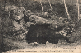 77-FONTAINEBLEAU LA FORET LA FONTAINE DU TOURING CLUB-N°T5280-B/0141 - Fontainebleau