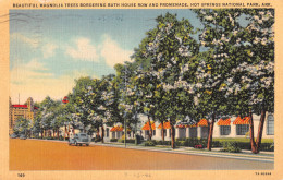 R329239 Hot Springs National Park. Ark. Beautiful Magnolia Trees Bordering Bath - Welt