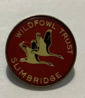 NO PINS BROCHE WILDFOWL TRUST SLIMBRIDGE / ANGLETERRE / OISEAUX / Fermeture épingle/ 33NAT - Animals