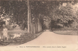 77-FONTAINEBLEAU LE PALAIS LE JARDIN ANGLAIS-N°T5280-E/0081 - Fontainebleau