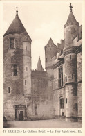 37-LOCHES-N°T5280-H/0087 - Loches