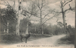 77-FONTAINEBLEAU LA FORET-N°T5281-C/0353 - Fontainebleau