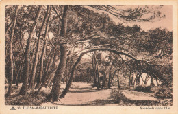 06-ILE SAINTE MARGUERITE SOUS BOIS-N°T5281-C/0321 - Sonstige & Ohne Zuordnung