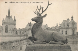 60-CHANTILLY-N°T5281-B/0307 - Chantilly