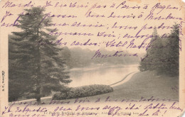 75-PARIS BOIS DE BOULOGNE-N°T5281-B/0231 - Parks, Gardens