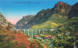 06-GORGES DU LOUP-N°T5281-B/0045 - Andere & Zonder Classificatie