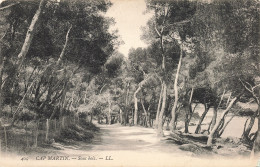 06-CAP MARTIN-N°T5281-E/0329 - Autres & Non Classés