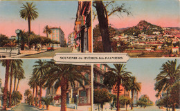 83-HYERES LES PALMIERS-N°T5281-D/0291 - Hyeres