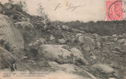 77-FONTAINEBLEAU LA FORET-N°T5281-D/0269 - Fontainebleau