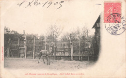 60-COMPIEGNE-N°T5281-D/0231 - Compiegne