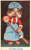 R331551 9. A Clean Sweep. Masons Alpha Series. Colourgraph Kitten Series. 1959 - World