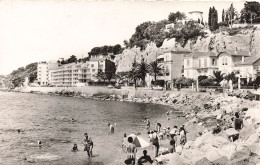 83-SANARY SUR MER-N°T5282-A/0133 - Sanary-sur-Mer