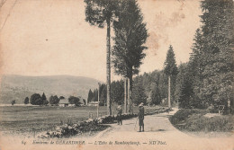 88-RAMBERCHAMP-N°T5282-D/0371 - Sonstige & Ohne Zuordnung