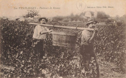 D9179 Les Vendanges Porteurs De Bennes - Autres & Non Classés