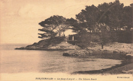 83-ILE DE PORQUEROLLES PLAGE D ARGENT-N°T5282-G/0151 - Autres & Non Classés