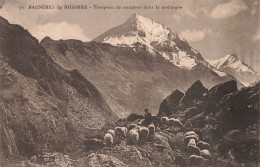 65-BAGNERES DE BIGORRE-N°T5282-G/0067 - Bagneres De Bigorre