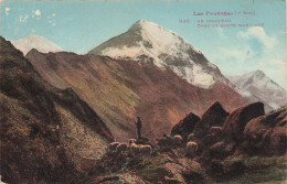 65-PYRENEES-N°T5282-F/0103 - Sonstige & Ohne Zuordnung