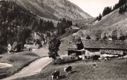 74-COL DES ARAVIS-N°T5283-B/0207 - Other & Unclassified