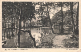 88-PLOMBIERES LES BAINS-N°T5283-A/0125 - Plombieres Les Bains