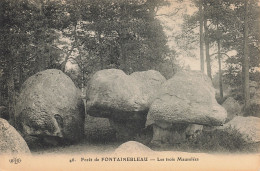 77-FONTAINEBLEAU LA FORET-N°T5283-E/0077 - Fontainebleau