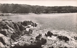 83-ILE DE PORT CROS PLAGE SUD-N°T5283-F/0333 - Sonstige & Ohne Zuordnung