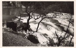 84-FONTAINE DE VAUCLUSE-N°T5284-A/0053 - Otros & Sin Clasificación