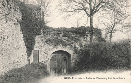 77-PROVINS POTERNE FANERON-N°T5284-C/0381 - Provins