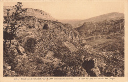 06-PONT DU LOUP-N°T5284-E/0123 - Autres & Non Classés