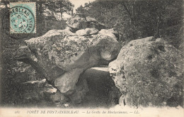 77-FONTAINEBLEAU LA FORET-N°T5285-A/0213 - Fontainebleau