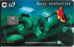 Poland: TelekomunikacjaPolska - 2002 Transparent Card - Poland