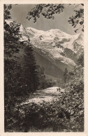 74-CHAMONIX-N°T5284-H/0351 - Chamonix-Mont-Blanc