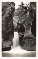 06-GORGES DU LOUP-N°T5284-H/0367 - Sonstige & Ohne Zuordnung