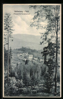 AK Gräfenberg I. Schl., Priessnitz-Sanatorium Aus Der Vogelschau  - Czech Republic