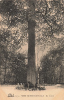 77-FONTAINEBLEAU LA FORET-N°T5284-H/0035 - Fontainebleau