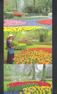 LISSE - HOLLAND - KEUKENHOF   - 3 POSTKAARTEN  (NL 10512) - Lisse