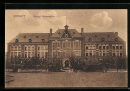 AK Erfurt, Blick Zum Königl. Gymnasium  - Erfurt