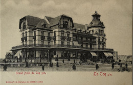 De Haan - Coq S/Mer //   Grand Hotel Du Coq S/M Ca 1900 - De Haan