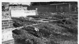 Photo Vintage Paris Snap Shop - Jardinier Jardin Potager Garden  - Professions